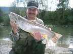 7. September 2003: Bachforelle mit 55 cm und 1,62 kg, gefangen in der Enns von Helmut Wagner
